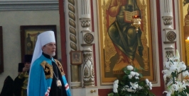 Жители Хабаровска встретили мощи святителя Луки Анастасия Афанасенко